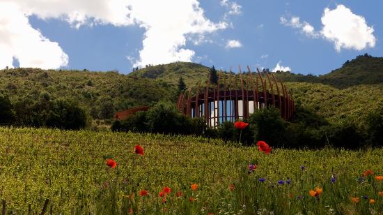 Aprende sobre las destacadas Bodegas Vivanco y su recorrido por el mundo del vino