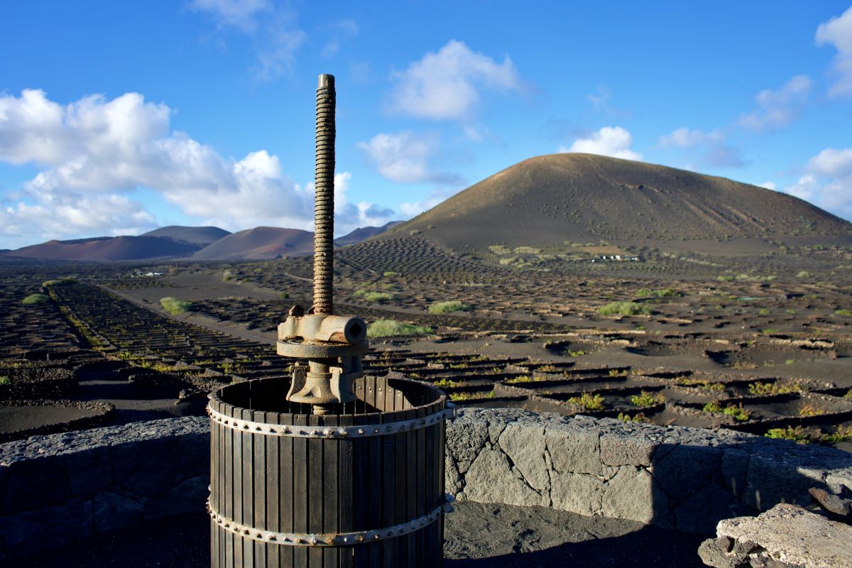 Bodegas Rubicón: Descubre los secretos de su vino único en Lanzarote