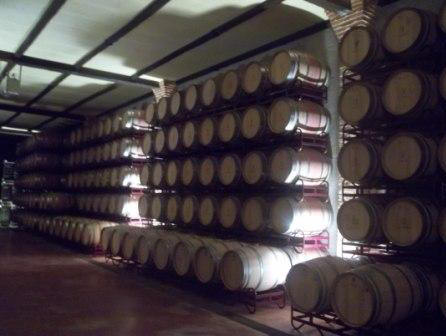 Bodegas Valquejigoso: Descubre los secretos del vino en este paraíso vinícola