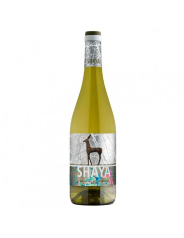 Bodegas y Viñedos Shaya: el sabor único del vino español