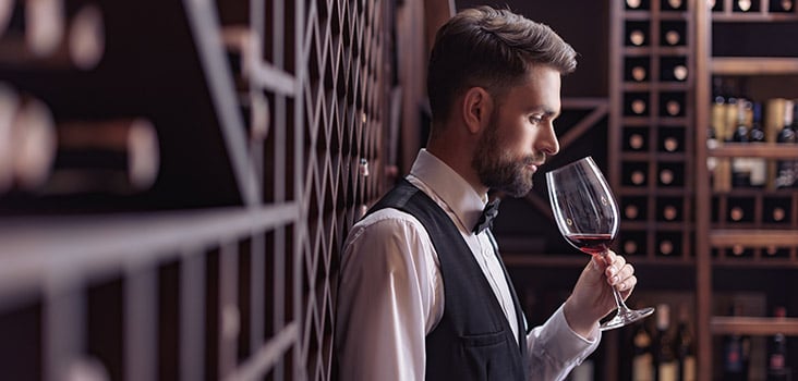 Carrera de Enología: Duración y Requisitos para Convertirte en un Experto del Vino
