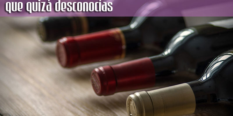 Cómo afecta el vino a la sangre: todo lo que necesitas saber