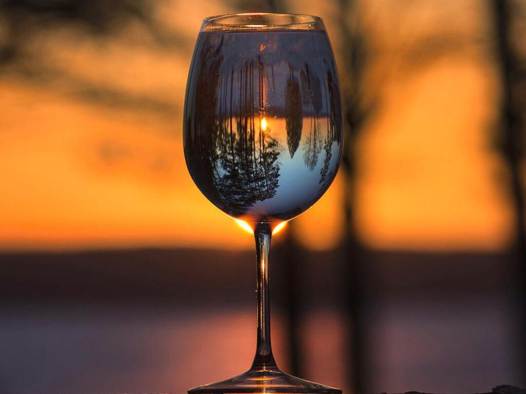 Conoce las características del vino Merlot y enamórate de su sabor