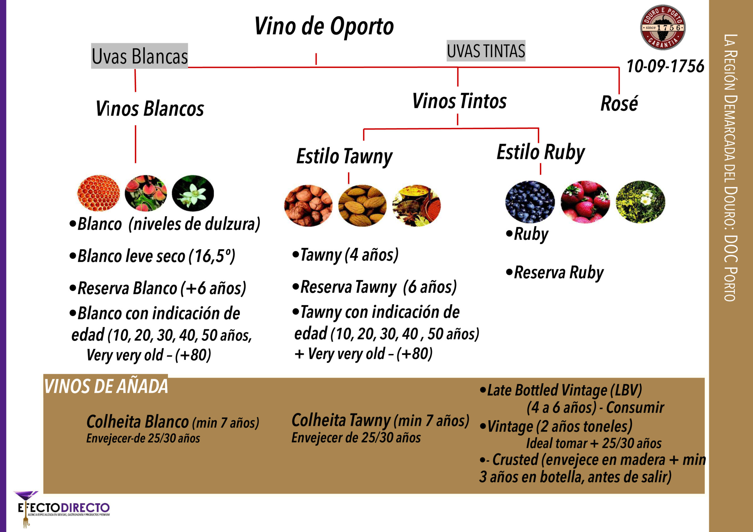 Conoce las diferencias entre Ruby y Tawny, dos variedades de vino