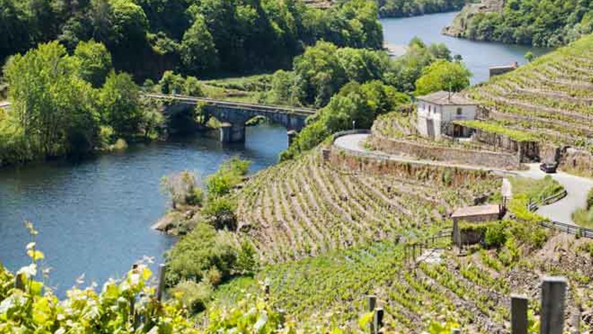Conoce las impresionantes bodegas de Santiago Ruiz en Galicia