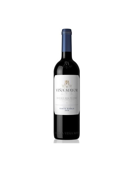 Conoce los exquisitos vinos de Bodegas y Viñedos Viña Mayor