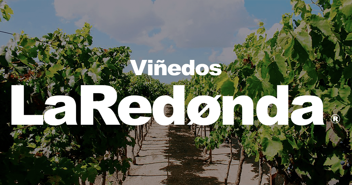 Conoce los precios de entrada a los viñedos La Redonda