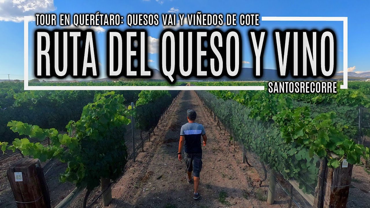 Conoce los precios de la ruta del vino y queso para tus vacaciones gastronómicas