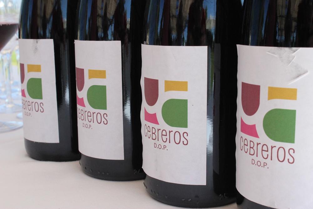 Conoce todo sobre la Denominación de Origen Cebreros y sus vinos