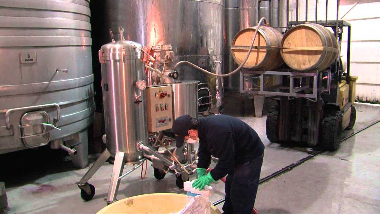 ¿Cuál es la fecha del trasiego del mosto?