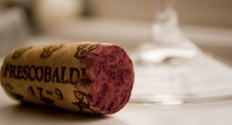 Defecto del corcho en el vino: ¿Cómo se llama y qué lo causa?