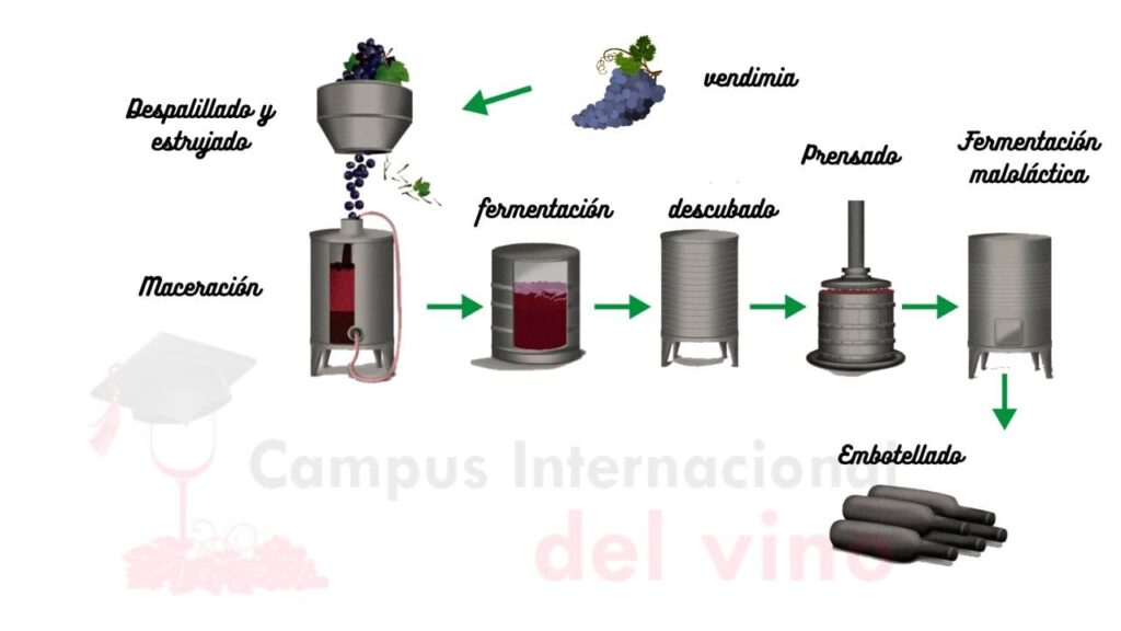 Conoce el nombre del lugar donde se elabora el vino | VINOTECAVIRTUAL