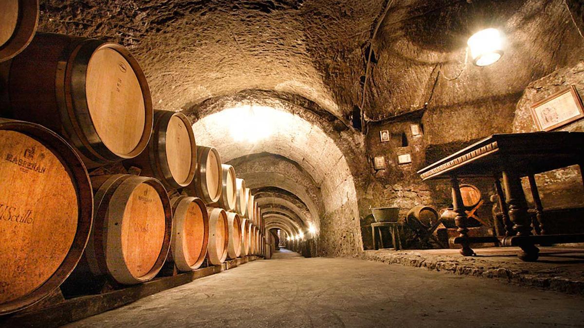 Explora la bodega subterránea más grande de España