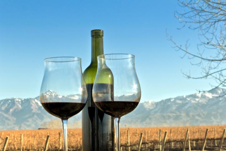 Explora los destinos con los mejores vinos del planeta