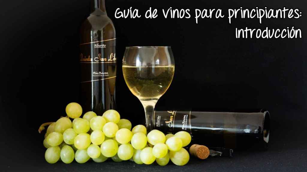 Introducción al mundo del vino: todo lo que debes saber