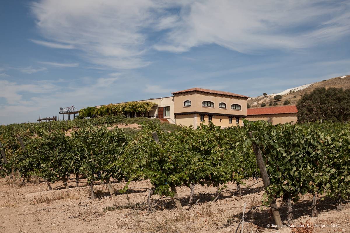 Foto de Bodegas Valdubón - Ribera del Duero en Milagros, Burgos